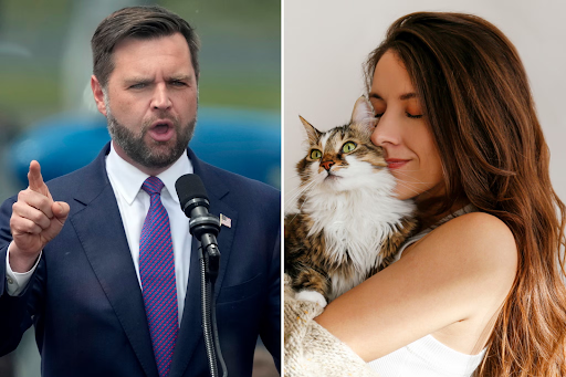falling-fertility-rates-childless-cat-ladies-jd-vance-comments